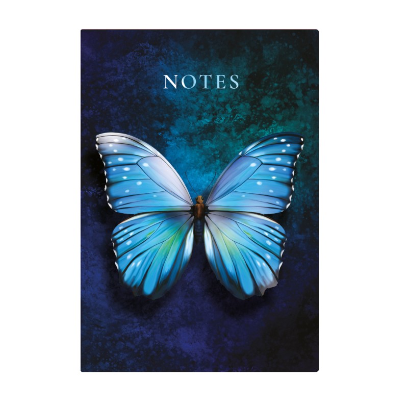 404 Notes found, B5 jegyzetfüzet, Butterfly Blue
