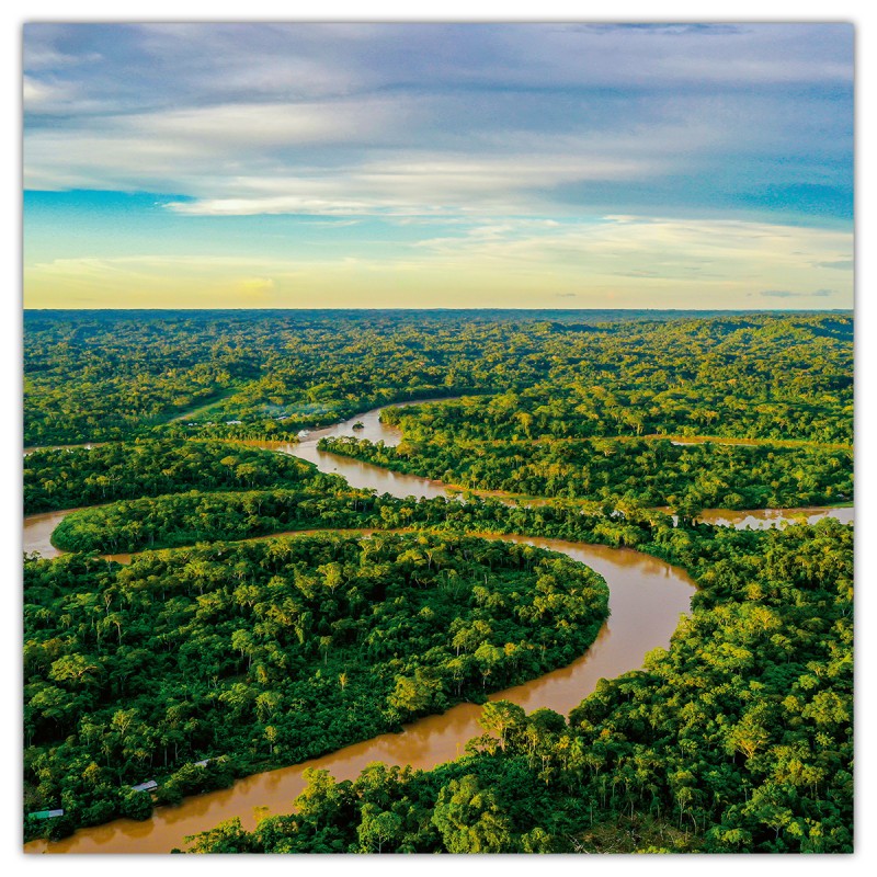 Amazing Rainforest, képes lemeznaptár 2026