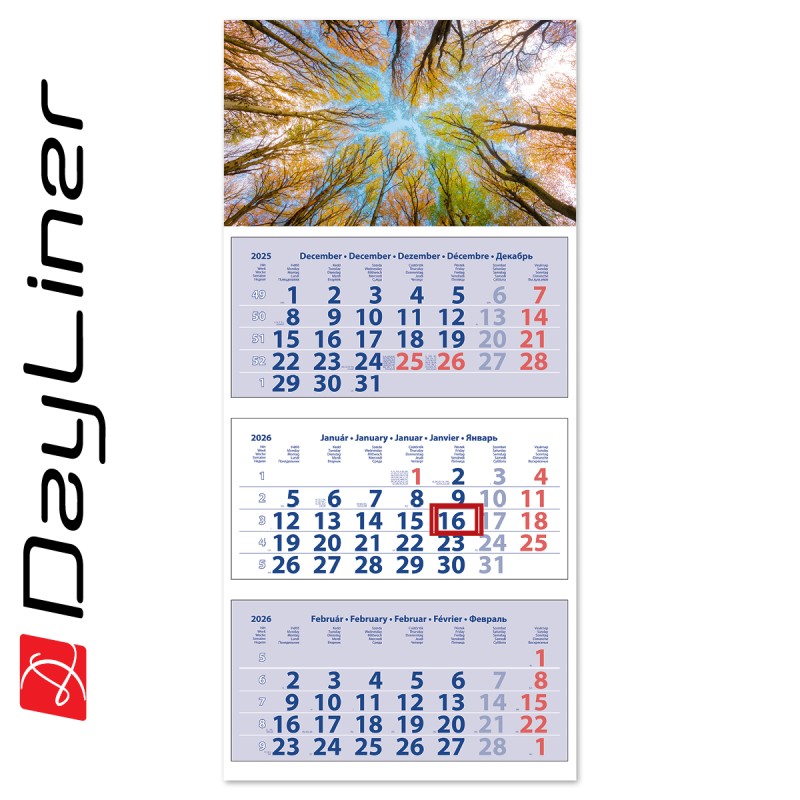 Medium Club, 3 tömbös 3 hónapos speditőr naptár - Erdő fejrésszel